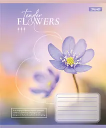 Упаковка зашитів 1В Tender Flowers учнівський загальний 10 шт./60 лін. (768083) - мініатюра 6
