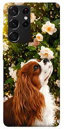 TPU чехол Demsky Flower spaniel для Samsung Galaxy S21 Ultra