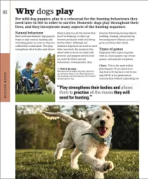 The Beginner's Dog Training Guide - мініатюра 3