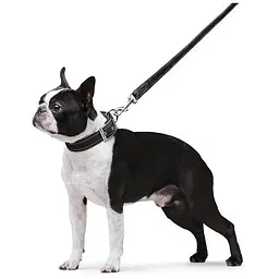 Повідець Dog Extreme з нейлону подвійний (ширина 20мм, довжина 122см), чорний - мініатюра 6