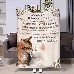 Плед плюшевий 3D з побажаннями для чоловіка Чоловіку Моя підтримка 160х200 см