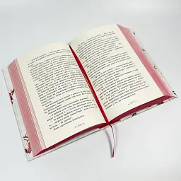 Сага сестер-відьом. Сестра ночі - Мара Вульф | Ранок, книга українською, нова, тверда - мініатюра 3