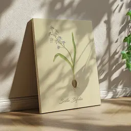 Інтер'єрна картина Ботанічна ілюстрація, Scilla Bifolia, ботаніка, інтер'єрний декор, 60×45 см (id7155) - мініатюра 2