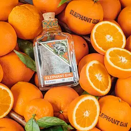 Джин Elephant Gin Orange & Cocoa 40% 0.5 л - мініатюра 7