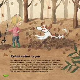 Як змінюється погода у різні пори року? - мініатюра 6