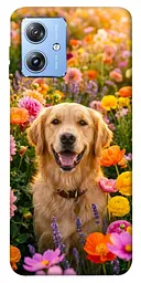 TPU чохол Demsky Flowery labrador для Motorola Moto G84