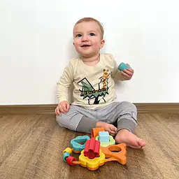 Сортер Chicco Баобаб (10493.00) - мініатюра 7