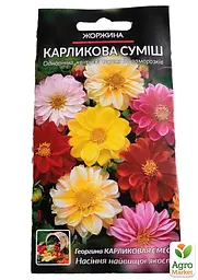 Жоржина "Карликова Суміш" Весна 0.2г (19766) - мініатюра 2