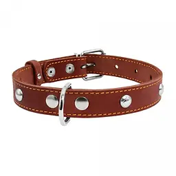 Нашийник Collar одинарний з прикрасами, 32-40х2 см, коричневий - мініатюра 2