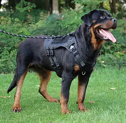 Шлейка для собак Vest, тактичний жилет з ручкою і системою MOLLE, регульований, Чорний M - мініатюра 7