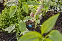 Крапельниця Gardena Micro-Drip-System внутрішня 0-15 л/год, 10 шт (13315-20) - мініатюра 2
