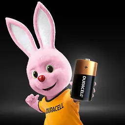Лужні батарейки Duracell 1.5 V C LR14/MN1400, 2 шт. (706009) - мініатюра 3