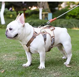 Шлея для собак Derby Pet harness FH107, M Бежевий - мініатюра 2