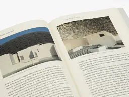 The Art Museum in Modern Times - мініатюра 6