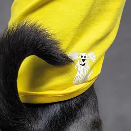 Борцовка Pet Fashion Puppy для собак, розмір XS2, жовта - мініатюра 5