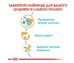 Сухий корм для цуценят йоркширських тер'єрів Royal Canin Yorkshire Terrier Puppy 7.5 кг 39720751 - мініатюра 4