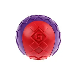 Іграшка для собак Gigwi Ball Мяч з Пищалкою