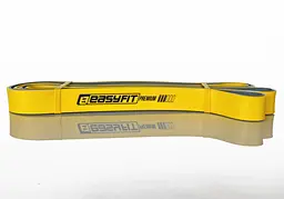 Двошарова гумка для підтягування Premium 16-32 кг EasyFit fit0024857 - мініатюра 2