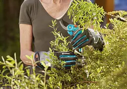 Рукавички для робіт із чагарниками Gardena 8/M Oeko-Tex® (11530-20) - мініатюра 4