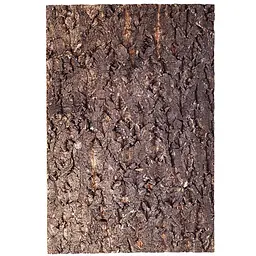 Фон з кори Repti-Zoo Big Tree Background 20x30 см (NCT13) для тераріуму