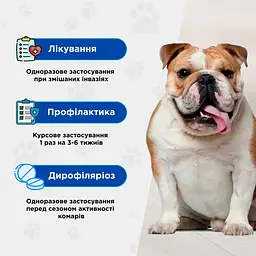 Протипаразитарна таблетка Modes Квадромідас для собак 2-4 кг 0.2 г - мініатюра 3
