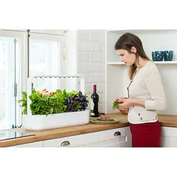 Стартовий набір для вирощування еко-продуктів Click & Grow Smart Garden 9, бежевий (8875 SG9) - мініатюра 9