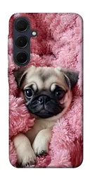 TPU чохол Demsky Мопс у ніжностях для Samsung Galaxy A55