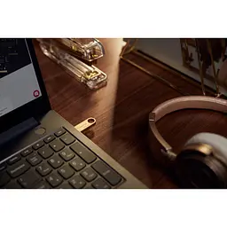 USB флеш накопичувач Kingston 512GB DataTraveler SE9 G3 Gold USB 3.2 (DTSE9G3/512GB) - мініатюра 8