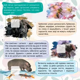 100 цікавинок. Комахи - Катерина Шаповалова - мініатюра 4