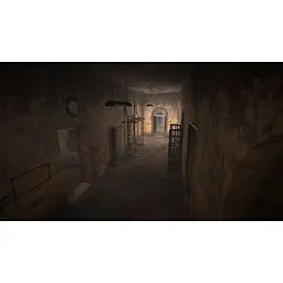 Ключ активації Microsoft The Town of Light для Xbox One/Series S/X - мініатюра 5