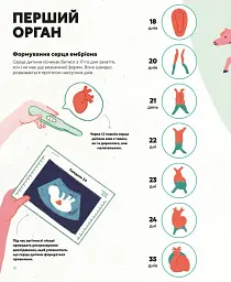 Серце. Історія, наука і багато любові - Ноемі Фабра - мініатюра 4
