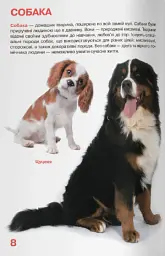 Велика книжка. Свійські тварини - - мініатюра 4