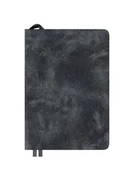 Щоденник А5 LEO Planner Case датований сірий (252746) - мініатюра 2