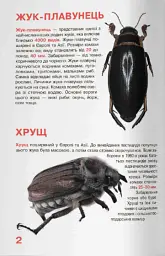 Велика книжка. Жуки - Олег Зав'язкин - мініатюра 2