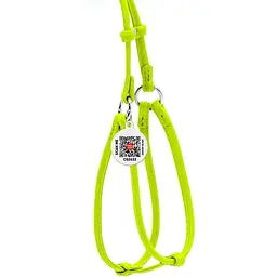Шлея з повідцем для собак Waudog Glamour, шкіряна, кругла, з QR паспортом, 42-60х46-64х0,6/105 см, салатовий (34025) - мініатюра 2