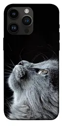Чохол Demsky Cute cat для Apple iPhone 14 Pro Max (6.7)