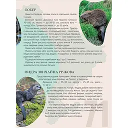 Енциклопедія для допитливих Талант Перлини природи України - Станкевич Т.О. (9789669890764) - мініатюра 4