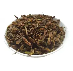 Софора Плоди Японська акація Styphnolobium japonicum