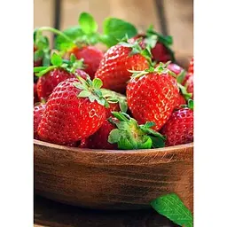Саджанець Agro-Market Полуниця яскраво-червона Солодка шоколадка (Sweet chocolate) 5 шт (американська селекція, преміальний ремонтантний сорт) (44699) - мініатюра 3