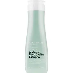 Шампунь освіжаючий для жирної шкіри голови Daeng Gi Meo Ri Look At Hair Loss Minticcino Deep Cooling 500 мл