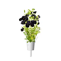 Змінний картридж Click & Grow Чорна віола (9230) - мініатюра 2