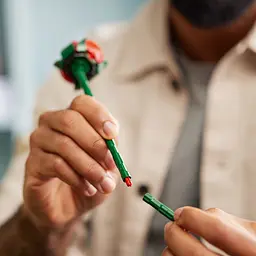 Конструктор LEGO Botanicals Букет троянд 822 деталі (10328) - мініатюра 9