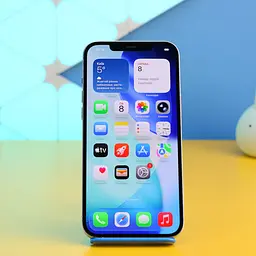 Смартфон Apple iPhone 12 Pro Max 256GB Silver (MGDD3) Б/В [163517]