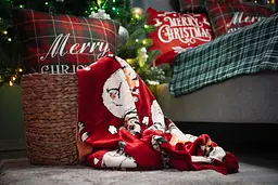 Плед Ardesto Flannel 160х200 см 100% поліестер різдвяні коргі pbe0050469 - мініатюра 4