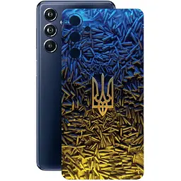 Захисна плівка StatusSKIN для Samsung Galaxy F54 E546 Корпус Вініл Герб 2