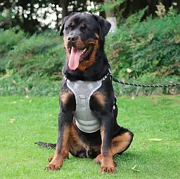 Шлейка для собак Vest, тактичний жилет з ручкою і системою MOLLE, регульований, Сірий М - мініатюра 6