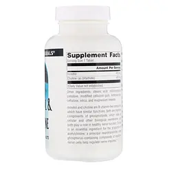 Вітаміни В4 та В8 Source Naturals Inositol & Choline 100 таблеток для підтримки нервової системи - мініатюра 2