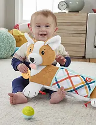 Розвивальний ігровий набір Fisher-Price Цуценя (HJW10) - мініатюра 5