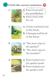 Peter and the Wolf. Ladybird Readers. Level 4 - мініатюра 6