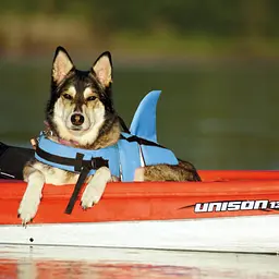 Рятувальний жилет для собак Nobby Sharki Swimming XL блакитний 45 см 61034 - мініатюра 2